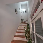 Jakova Dudana 10 *
